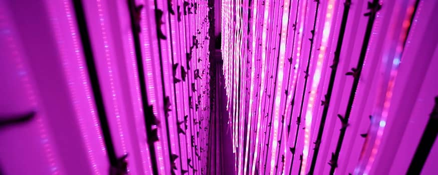 Room filled with purple colored light strips